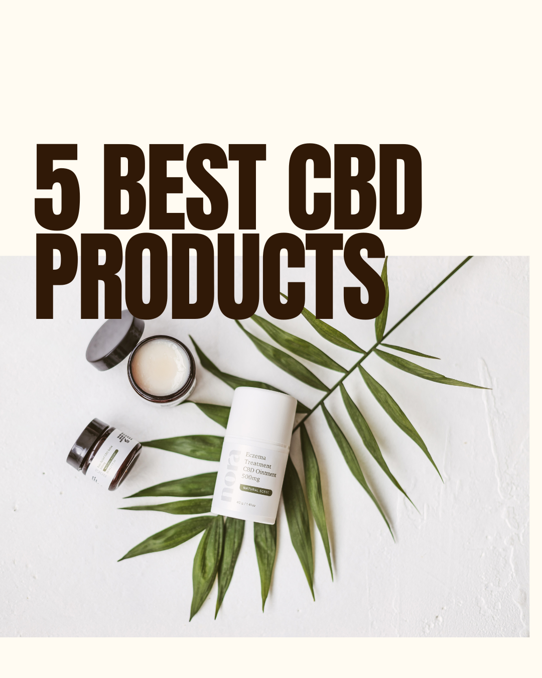 5 Best CBD Products