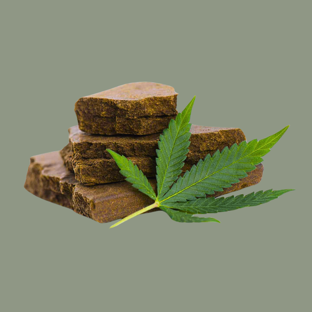 Hash vs. Weed: Understanding the Differences between them