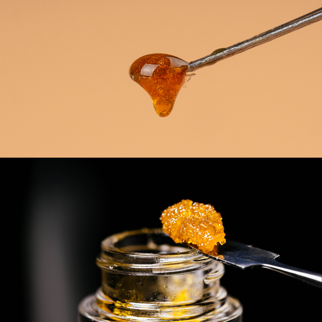 Flower Rosin And Hash Rosin: Top 5 Differences You Need To Know